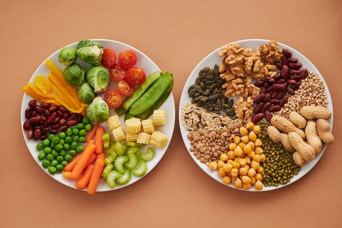 nutrition  équilibre