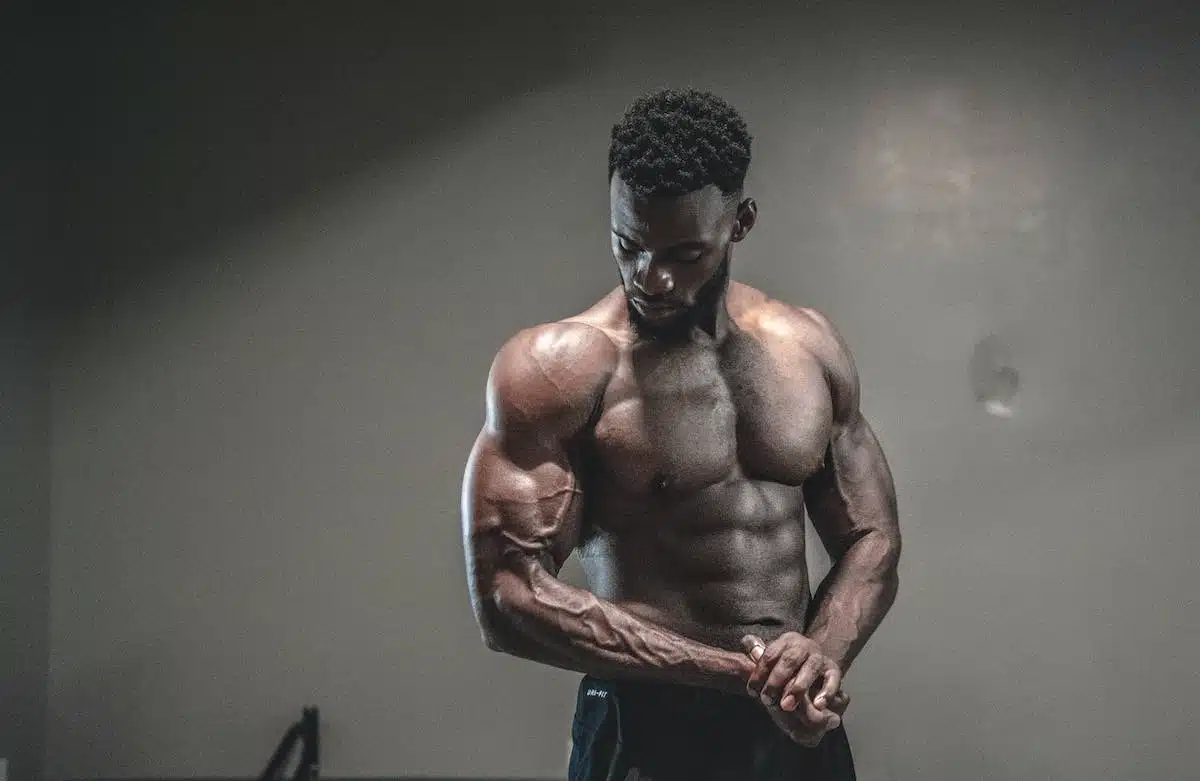 musculation  fitness